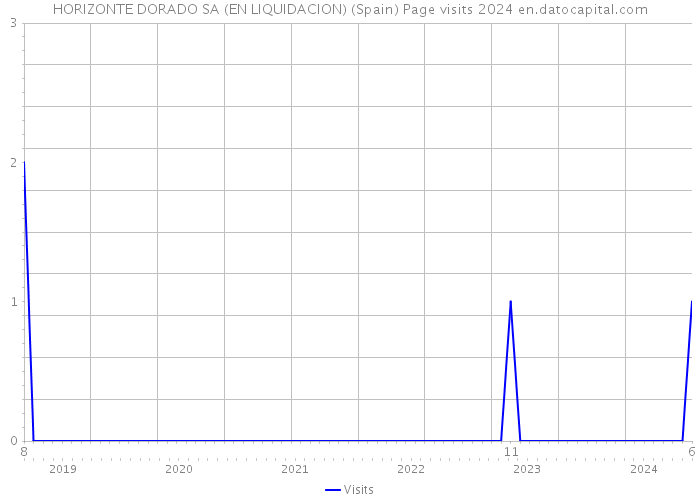 HORIZONTE DORADO SA (EN LIQUIDACION) (Spain) Page visits 2024 