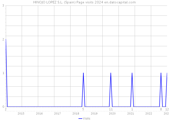 HINOJO LOPEZ S.L. (Spain) Page visits 2024 