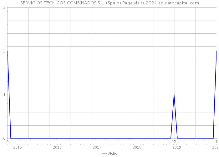 SERVICIOS TECNICOS COMBINADOS S.L. (Spain) Page visits 2024 