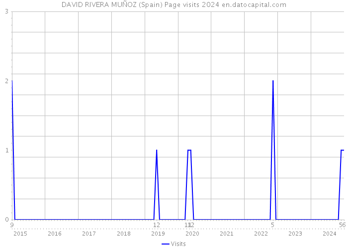 DAVID RIVERA MUÑOZ (Spain) Page visits 2024 