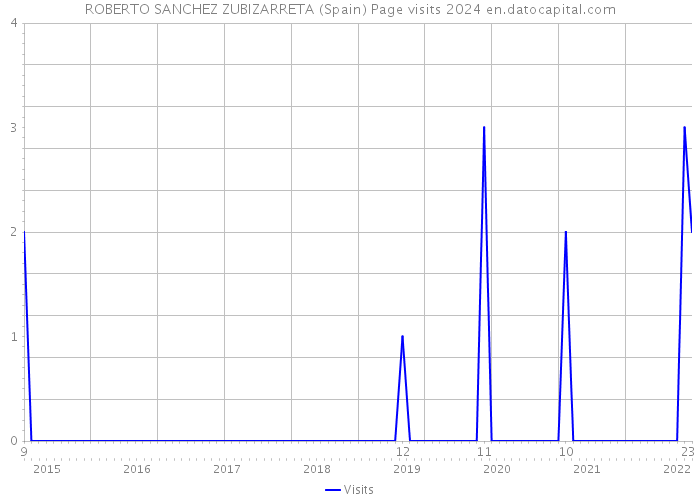 ROBERTO SANCHEZ ZUBIZARRETA (Spain) Page visits 2024 