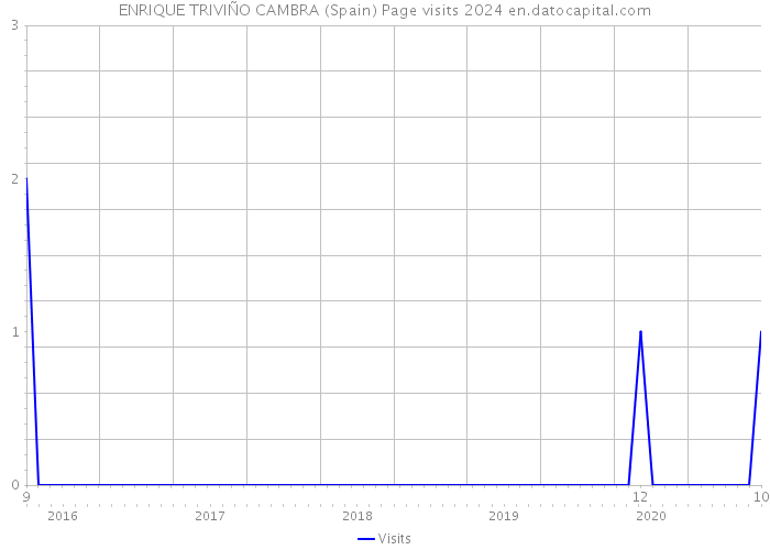 ENRIQUE TRIVIÑO CAMBRA (Spain) Page visits 2024 