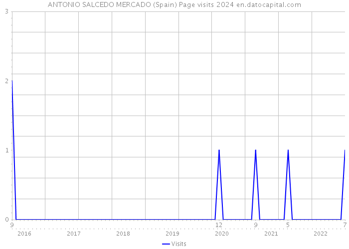 ANTONIO SALCEDO MERCADO (Spain) Page visits 2024 
