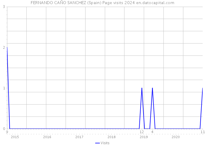 FERNANDO CAÑO SANCHEZ (Spain) Page visits 2024 