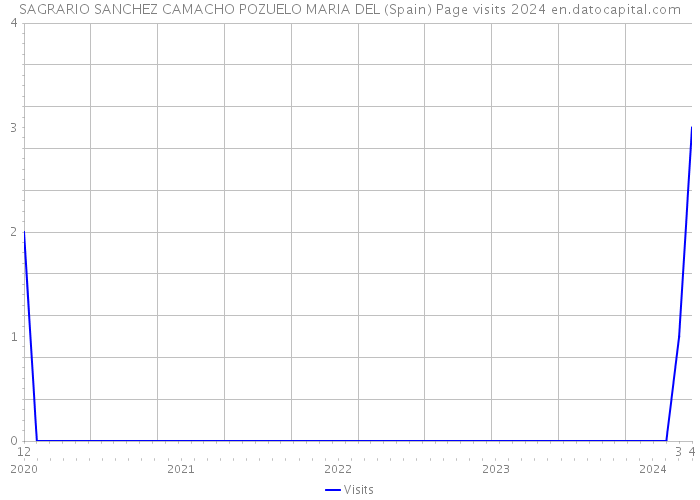 SAGRARIO SANCHEZ CAMACHO POZUELO MARIA DEL (Spain) Page visits 2024 