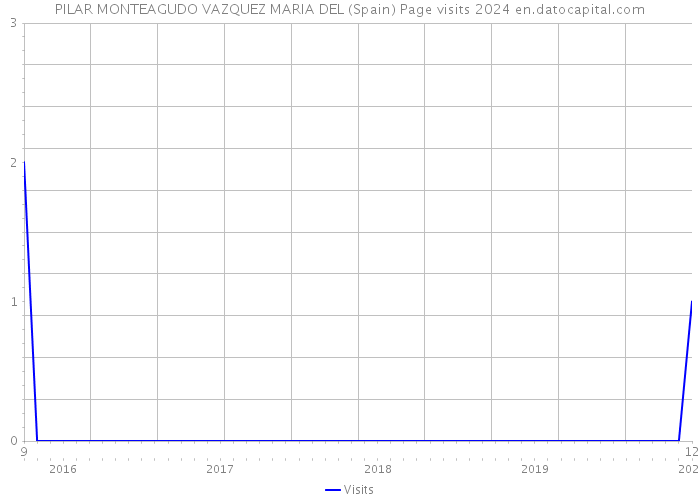 PILAR MONTEAGUDO VAZQUEZ MARIA DEL (Spain) Page visits 2024 