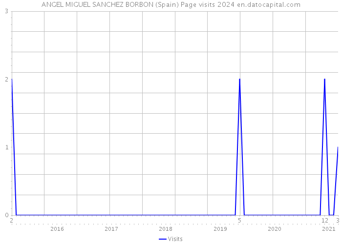 ANGEL MIGUEL SANCHEZ BORBON (Spain) Page visits 2024 