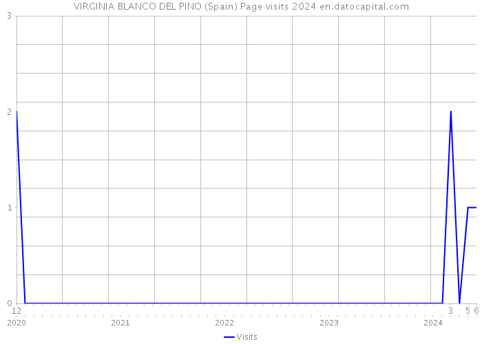 VIRGINIA BLANCO DEL PINO (Spain) Page visits 2024 