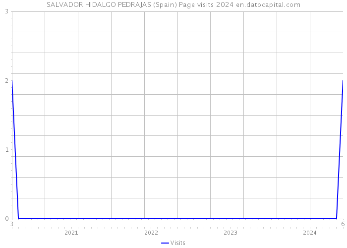 SALVADOR HIDALGO PEDRAJAS (Spain) Page visits 2024 