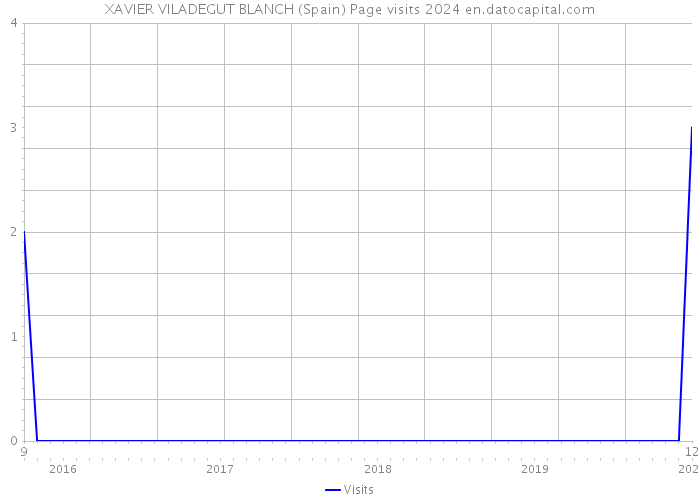 XAVIER VILADEGUT BLANCH (Spain) Page visits 2024 