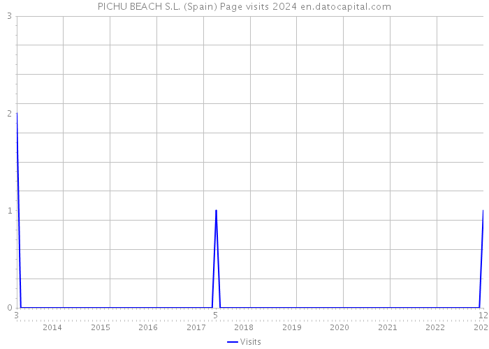 PICHU BEACH S.L. (Spain) Page visits 2024 