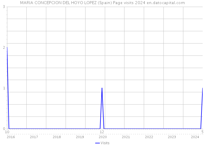 MARIA CONCEPCION DEL HOYO LOPEZ (Spain) Page visits 2024 