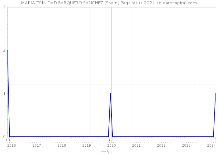 MARIA TRINIDAD BARQUERO SANCHEZ (Spain) Page visits 2024 