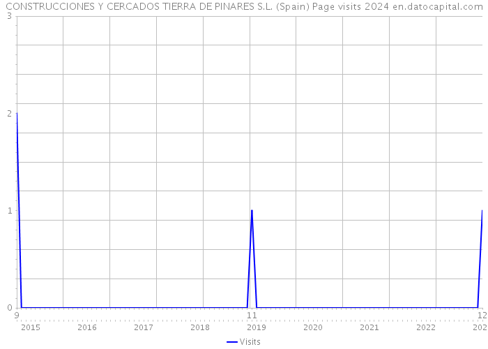 CONSTRUCCIONES Y CERCADOS TIERRA DE PINARES S.L. (Spain) Page visits 2024 