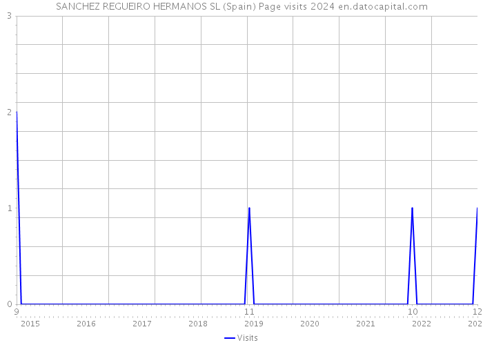 SANCHEZ REGUEIRO HERMANOS SL (Spain) Page visits 2024 