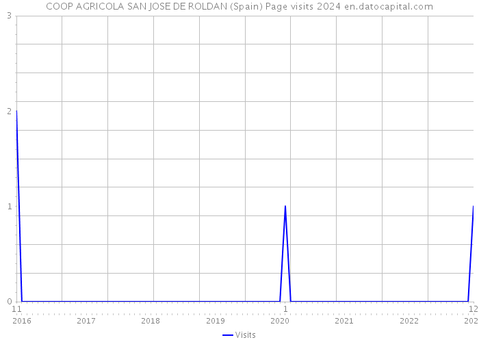 COOP AGRICOLA SAN JOSE DE ROLDAN (Spain) Page visits 2024 