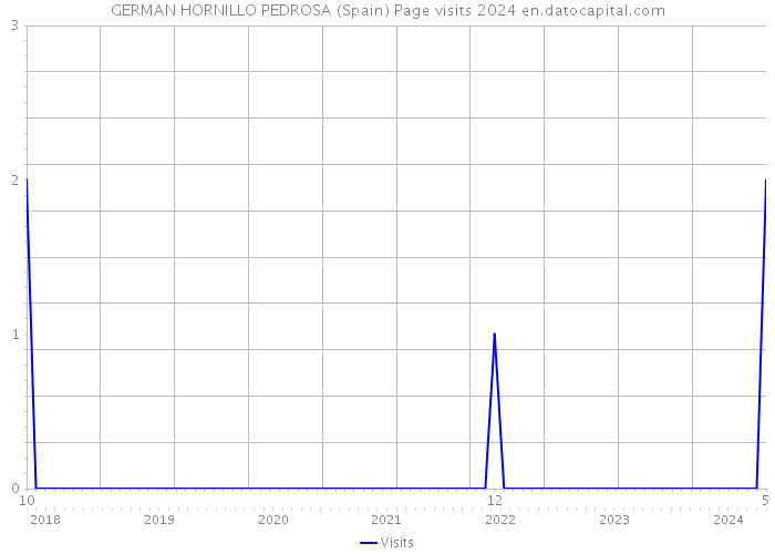 GERMAN HORNILLO PEDROSA (Spain) Page visits 2024 