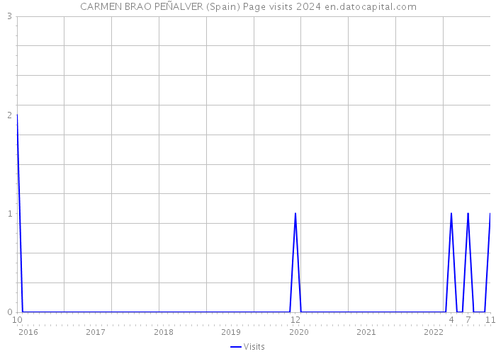CARMEN BRAO PEÑALVER (Spain) Page visits 2024 