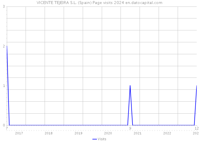 VICENTE TEJEIRA S.L. (Spain) Page visits 2024 