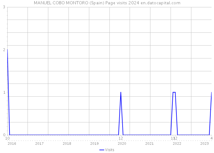 MANUEL COBO MONTORO (Spain) Page visits 2024 