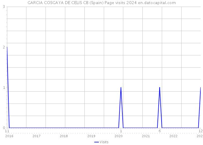 GARCIA COSGAYA DE CELIS CB (Spain) Page visits 2024 