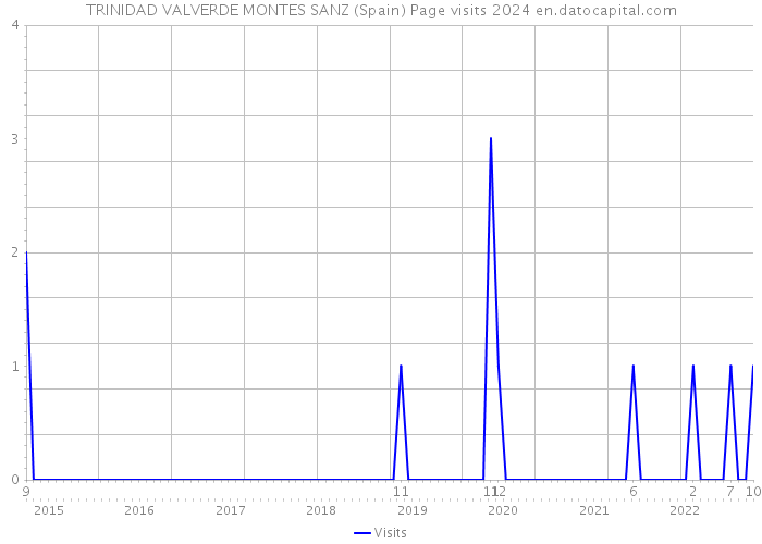 TRINIDAD VALVERDE MONTES SANZ (Spain) Page visits 2024 