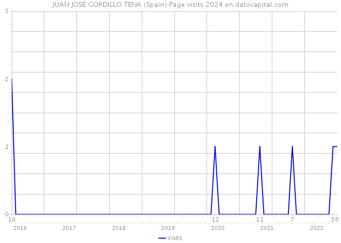 JUAN JOSE GORDILLO TENA (Spain) Page visits 2024 