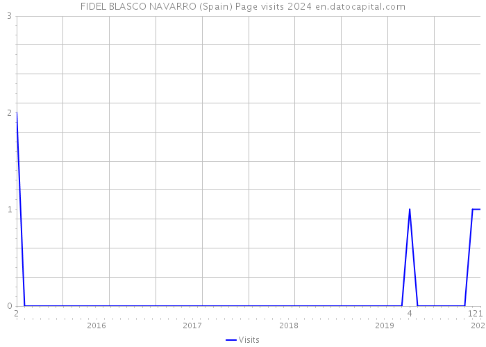 FIDEL BLASCO NAVARRO (Spain) Page visits 2024 