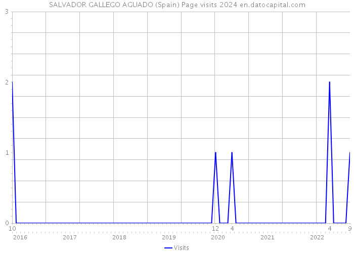 SALVADOR GALLEGO AGUADO (Spain) Page visits 2024 