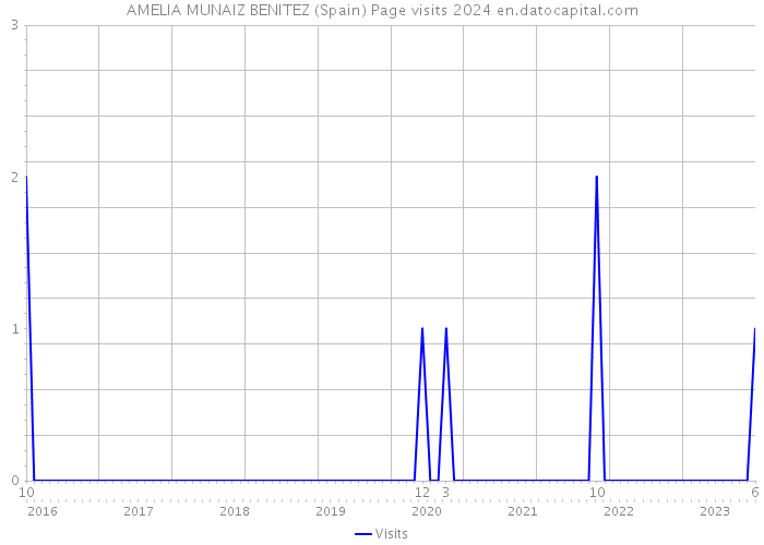 AMELIA MUNAIZ BENITEZ (Spain) Page visits 2024 