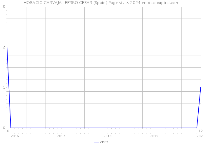 HORACIO CARVAJAL FERRO CESAR (Spain) Page visits 2024 