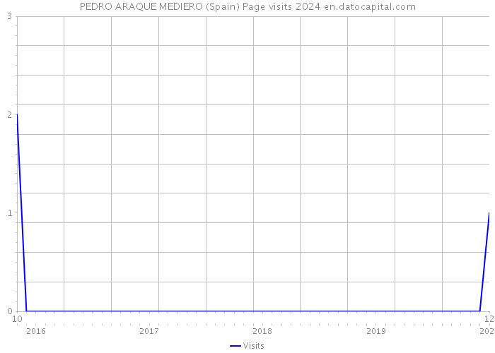 PEDRO ARAQUE MEDIERO (Spain) Page visits 2024 