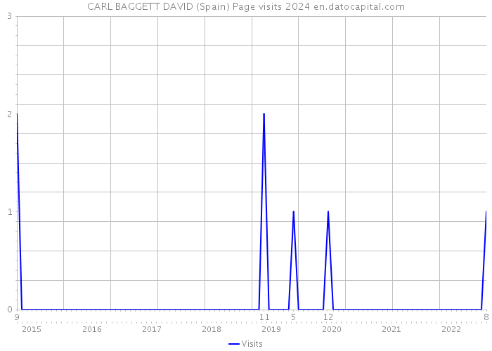 CARL BAGGETT DAVID (Spain) Page visits 2024 