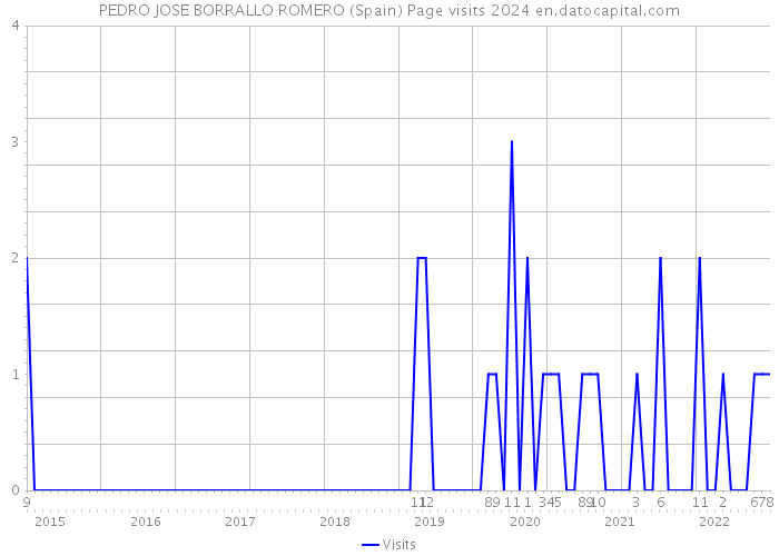 PEDRO JOSE BORRALLO ROMERO (Spain) Page visits 2024 