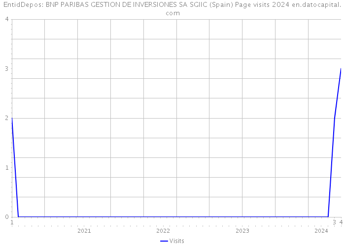 EntidDepos: BNP PARIBAS GESTION DE INVERSIONES SA SGIIC (Spain) Page visits 2024 