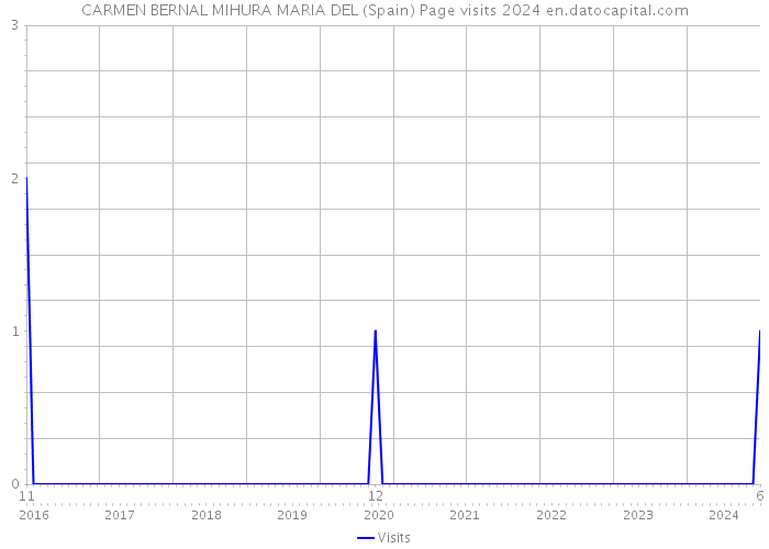 CARMEN BERNAL MIHURA MARIA DEL (Spain) Page visits 2024 