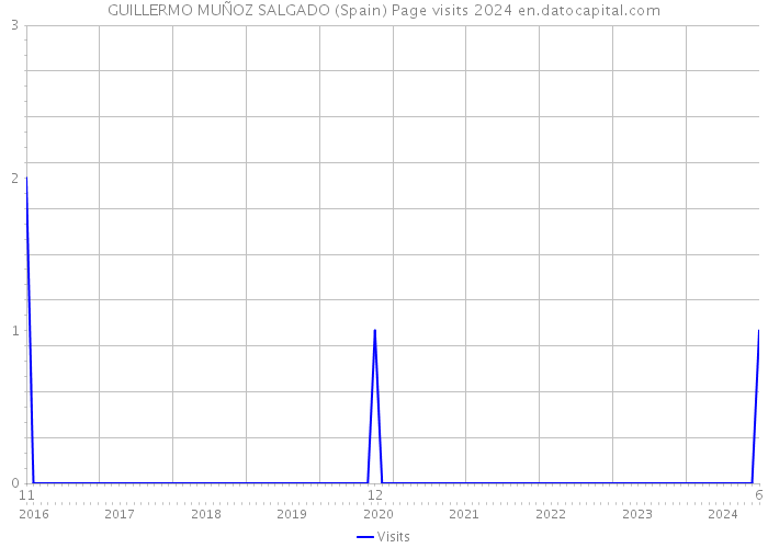 GUILLERMO MUÑOZ SALGADO (Spain) Page visits 2024 