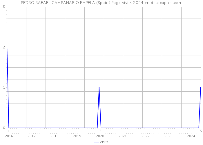 PEDRO RAFAEL CAMPANARIO RAPELA (Spain) Page visits 2024 