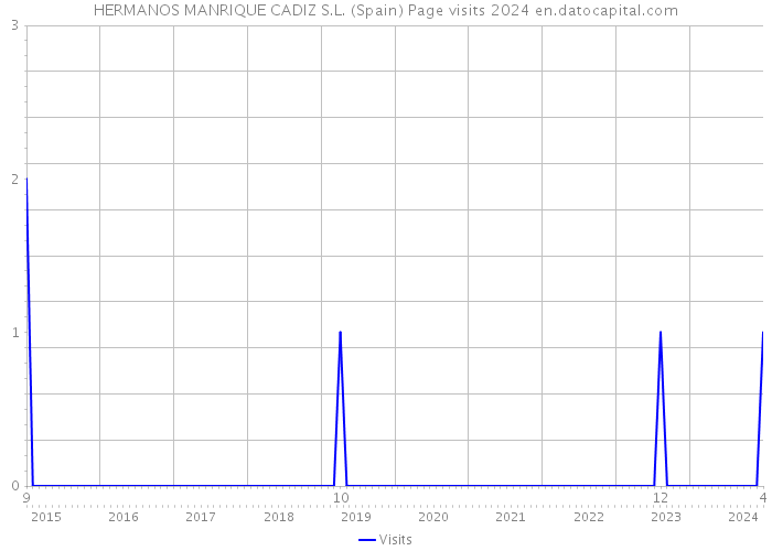 HERMANOS MANRIQUE CADIZ S.L. (Spain) Page visits 2024 