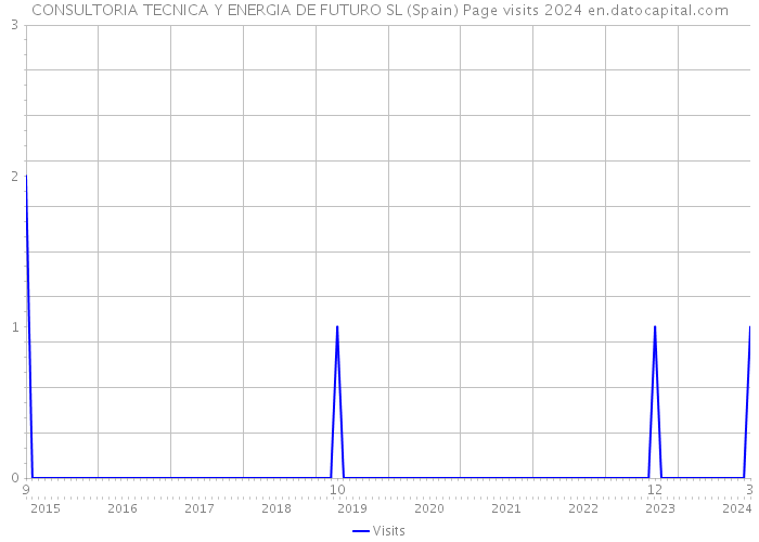 CONSULTORIA TECNICA Y ENERGIA DE FUTURO SL (Spain) Page visits 2024 