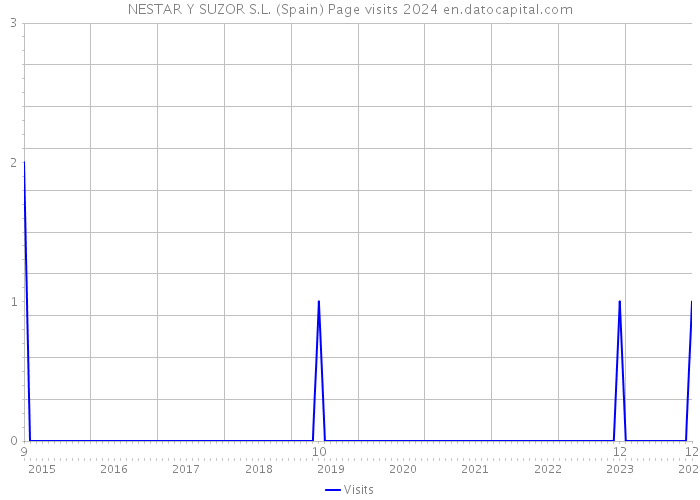 NESTAR Y SUZOR S.L. (Spain) Page visits 2024 