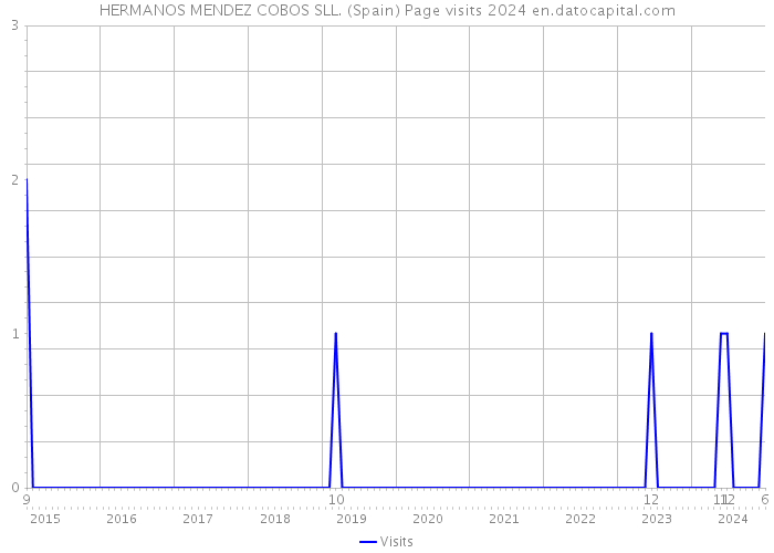 HERMANOS MENDEZ COBOS SLL. (Spain) Page visits 2024 