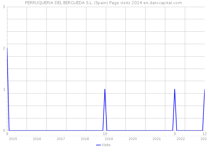 PERRUQUERIA DEL BERGUEDA S.L. (Spain) Page visits 2024 
