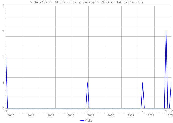 VINAGRES DEL SUR S.L. (Spain) Page visits 2024 