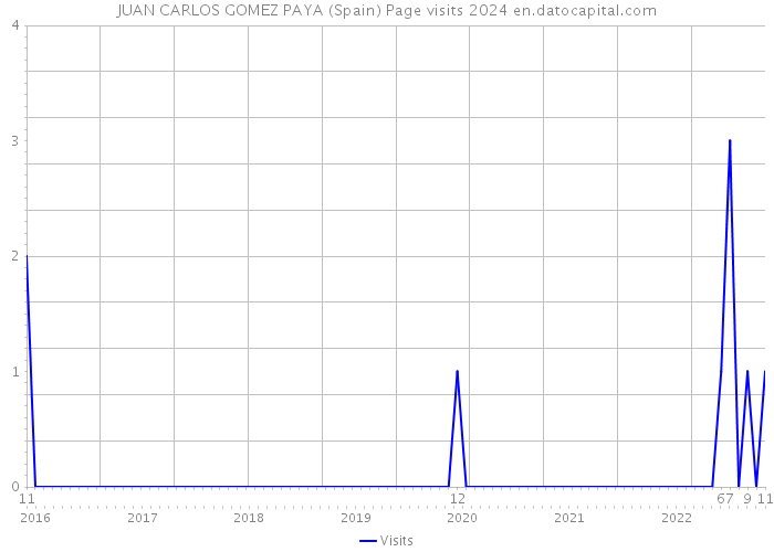 JUAN CARLOS GOMEZ PAYA (Spain) Page visits 2024 