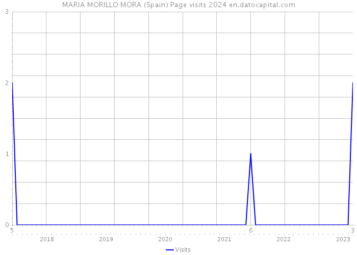MARIA MORILLO MORA (Spain) Page visits 2024 