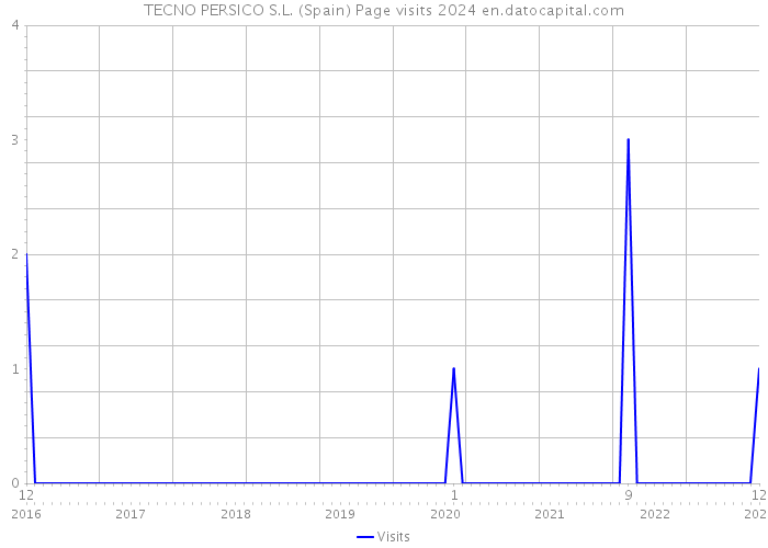 TECNO PERSICO S.L. (Spain) Page visits 2024 