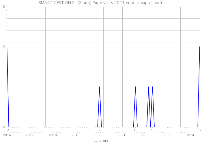 SMART GESTION SL (Spain) Page visits 2024 