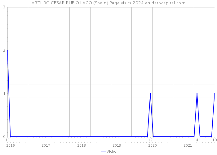 ARTURO CESAR RUBIO LAGO (Spain) Page visits 2024 