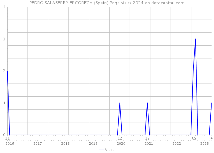 PEDRO SALABERRY ERCORECA (Spain) Page visits 2024 